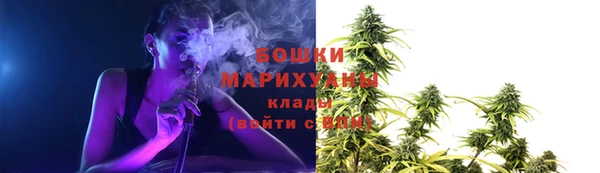 2c-b Богородск