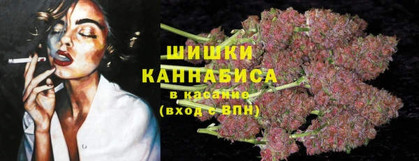 2c-b Богородск