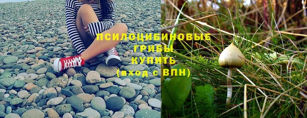 Альфа ПВП Богданович